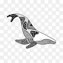 手绘纹理鲸鱼