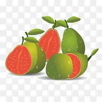 矢量图木瓜水果