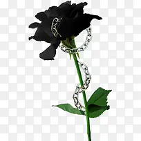 黑色的鲜花