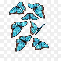 蓝色蝴蝶动态图素材免抠