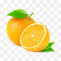 橙子摄影