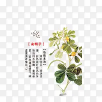 决明子