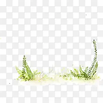 创意元素高清合成草本植物彩绘
