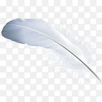羽毛矢量素材