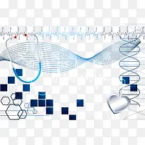 矢量DNA