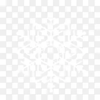 雪花
