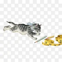 手绘插画