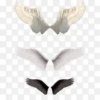 天使的翅膀透明主页