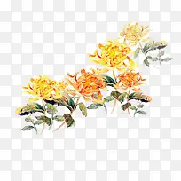 彩绘典雅的菊花免抠素材