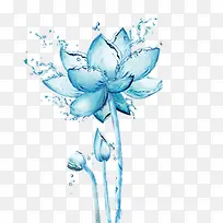 蓝色水莲花