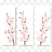 矢量三枝粉色重瓣樱花