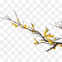 卡通手绘美丽的花朵