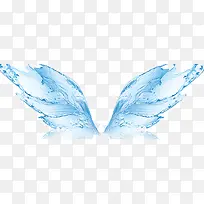 蓝色水花翅膀