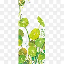 手绘植物