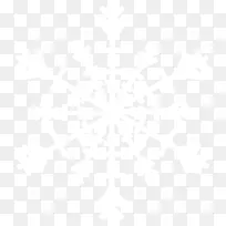 雪花