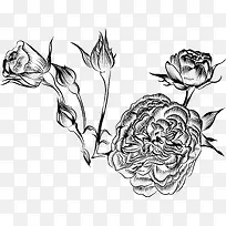 手绘的花朵