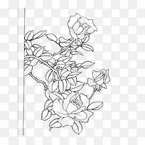 牡丹花手绘