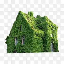 绿色植物房子