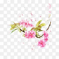 水彩粉色花卉元素