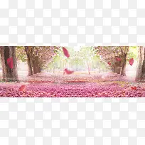 铺满粉色花瓣的林间小路海报背景