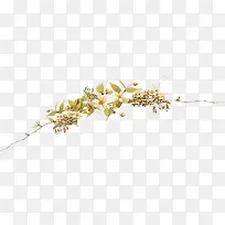 金色花枝