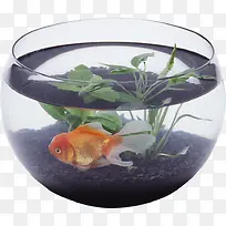 透明玻璃水缸