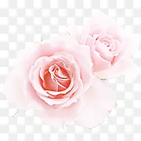 创意合成浪漫的粉红色玫瑰花