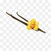 筷子 花 黄色的花 矢量图 装