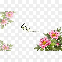 韩国花卉素材