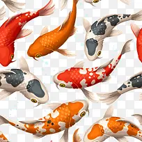 装饰鲤鱼插画素材矢量