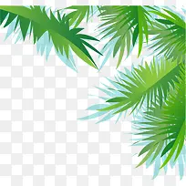 装饰绿色椰子树叶