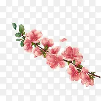 一束桃花