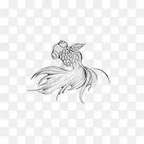 金鱼手绘稿