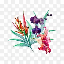 手绘鲜花花卉下载