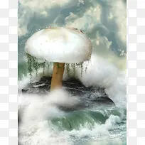 海浪中的蘑菇