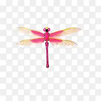 免抠素材粉红色的蜻蜓
