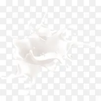牛奶素材