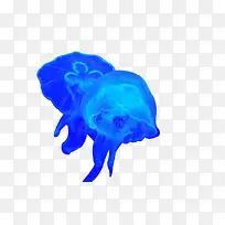 梦幻水母