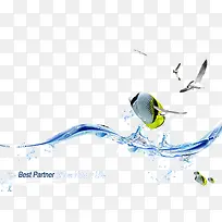 动感水图片鱼和水