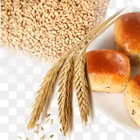 小麦麦片面包爱情