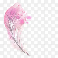 粉色羽毛插画
