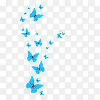 发光的蓝色蝴蝶