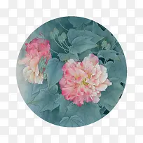 边框芙蓉花