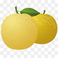 两个黄色的梨