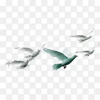 白色海报和平鸽效果拍摄