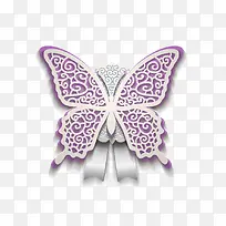 美丽白色花纹蝴蝶