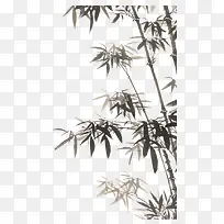 中国风水墨画竹子