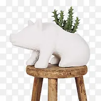 凳子上的小猪盆栽