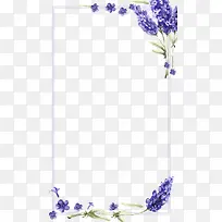 手绘长方形框紫色花边