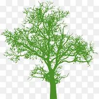 唯美绿色大树